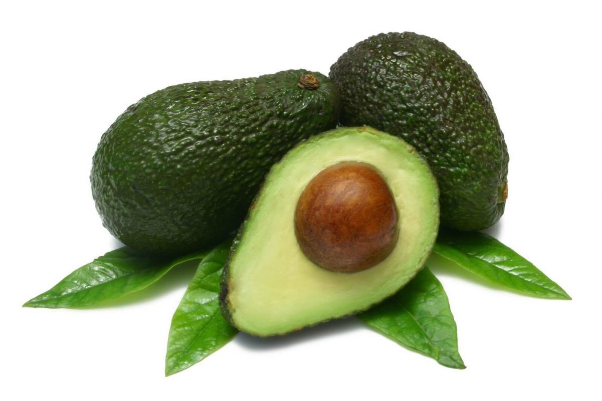 buah avocado