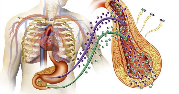 Terapi Bekam Dapat Mengawal Diabetes Mellitus 1