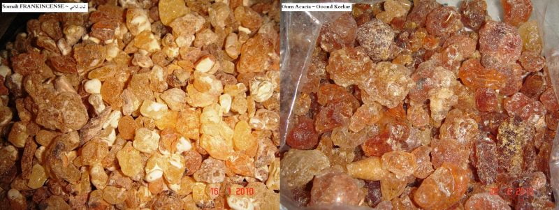 Perbezaan Antara Luban dan Gam Arab 1