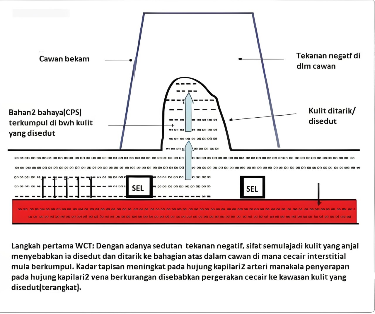 Teori Taibah dalam Terapi Bekam Darah 3