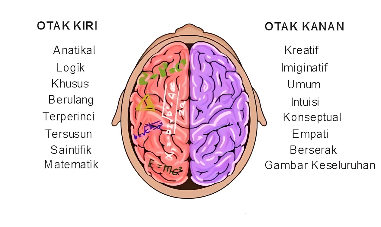 Keunikkan Otak Tengah (Mid Brain) 2 Keunikkan Otak Tengah (Mid Brain) 2