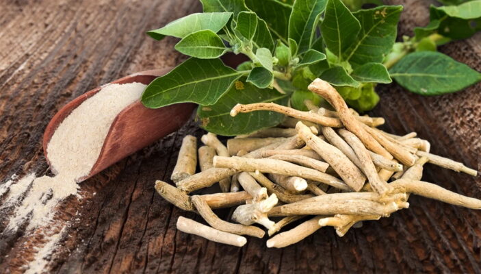 Ashwagandha: Rahsia Kesegaran dan Ketahanan dari Akar Kuno 7